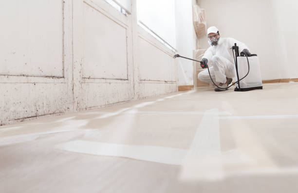 24/7 Emergency Mold Remediation experts in Lewisburg, KY